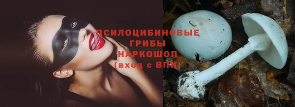 ПСИЛОЦИБИНОВЫЕ ГРИБЫ Алзамай