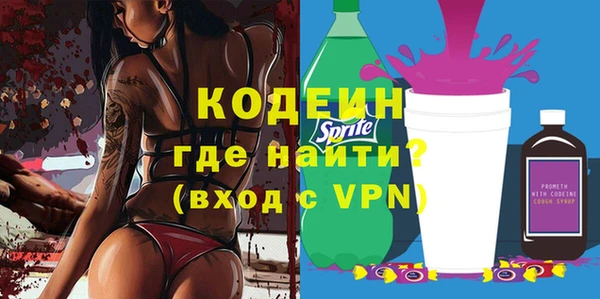 крисы Няндома