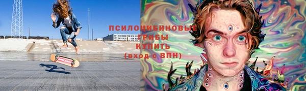 ПСИЛОЦИБИНОВЫЕ ГРИБЫ Алзамай